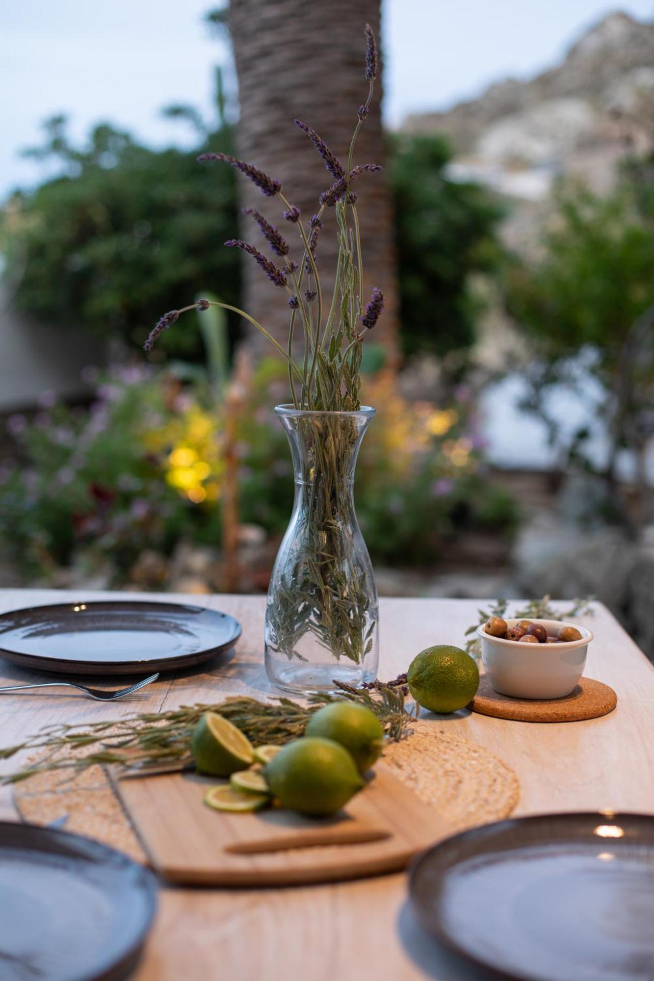 Levantes House Mykonos Ano Mera Exterior foto